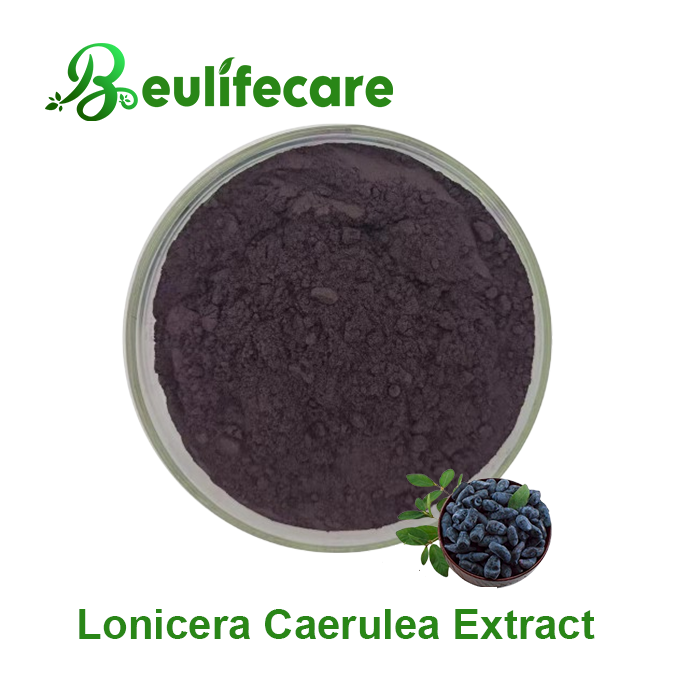 Lonicera Caerulea(haskap berry) Extract