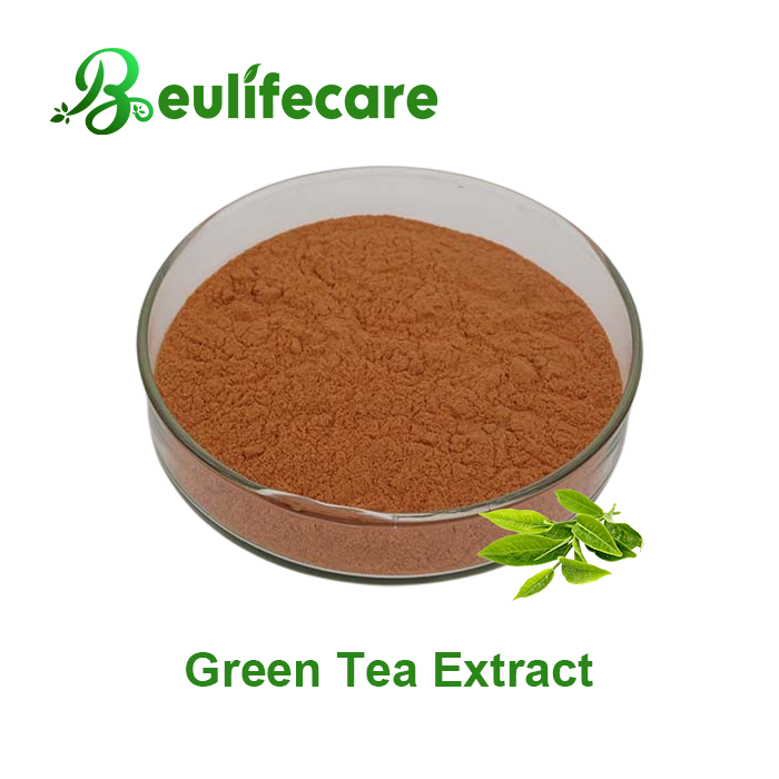 Green Tea Extract